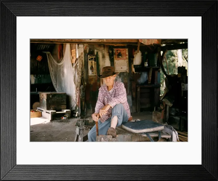 Framed Print : Life On The Bayou Framed Print : Life On The Bayou