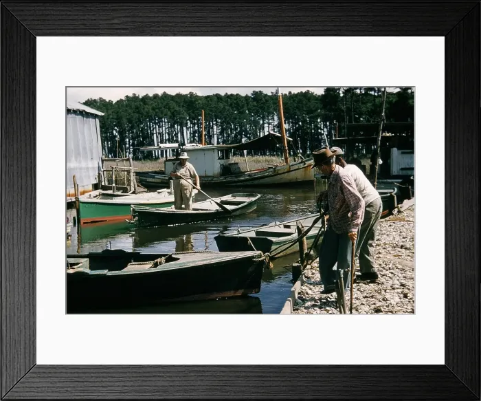 Framed Print : Life On The Bayou Framed Print : Life On The Bayou