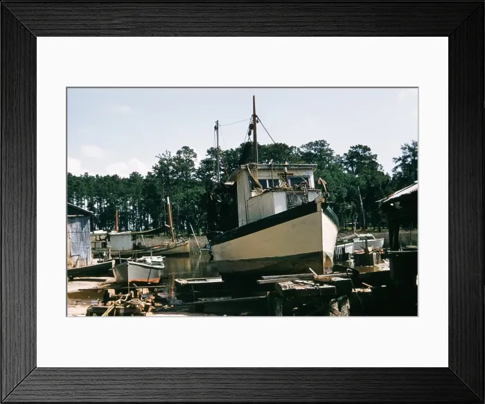 Framed Print : Life On The Bayou Framed Print : Life On The Bayou
