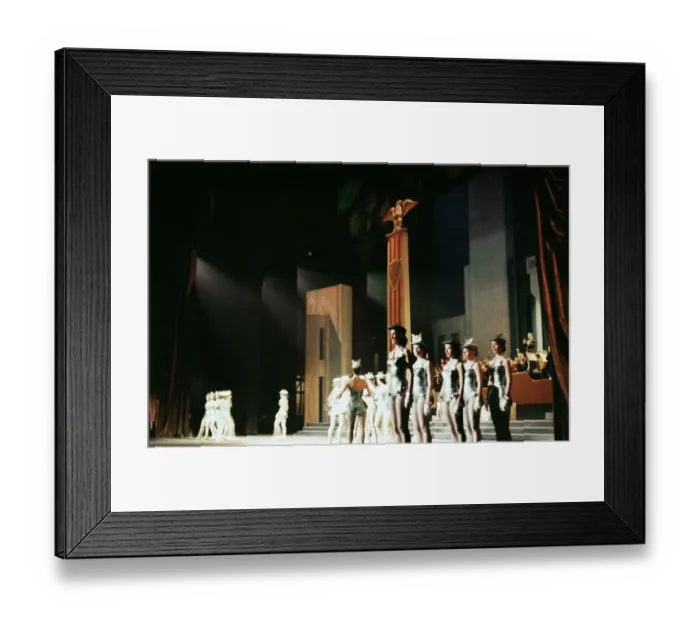 Framed Print : The Rockettes at Radio City Music Hall Framed Print : The Rockettes at Radio City Music Hall