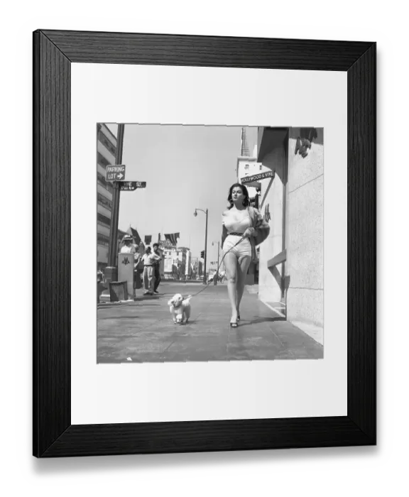 Framed Print : Joan Bradshaw Framed Print : Joan Bradshaw