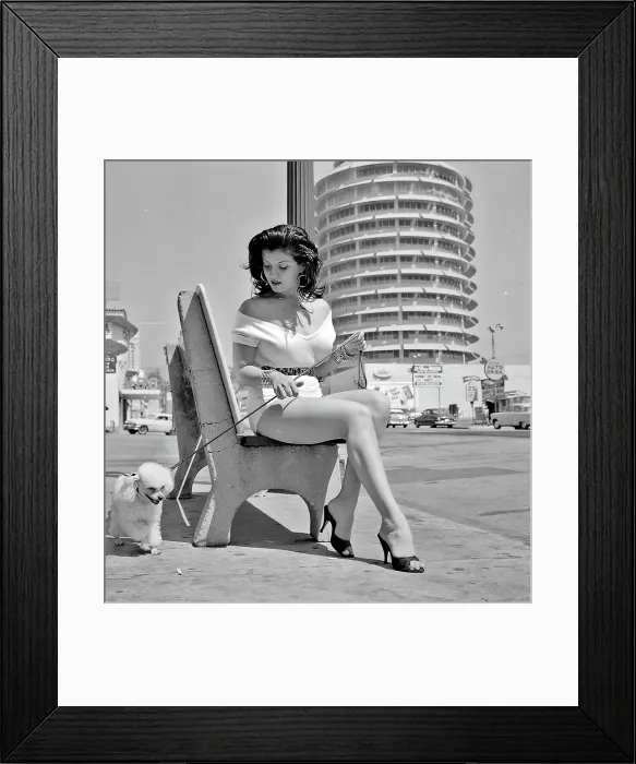 Framed Print : Photo of Los Angeles Framed Print : Photo of Los Angeles
