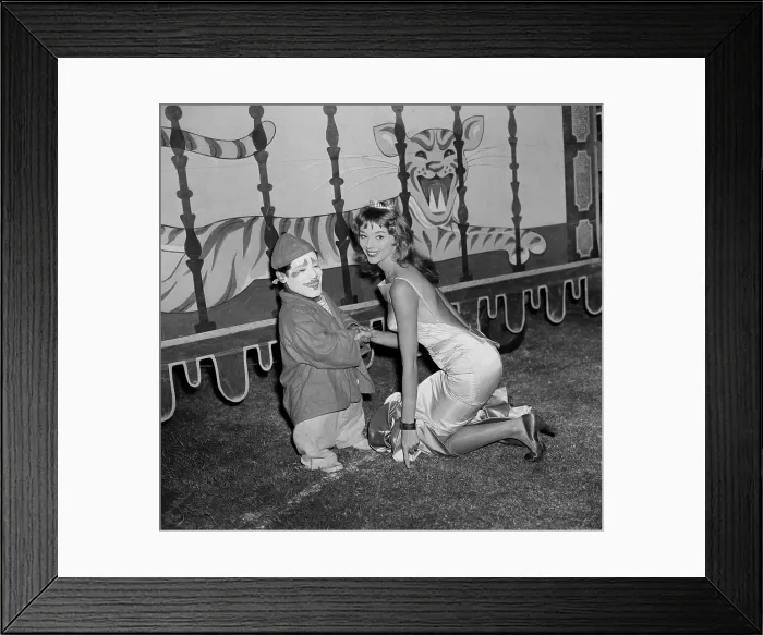 Framed Print : Ringling Bros. and Barnum & Bailey Circus Framed Print : Ringling Bros. and Barnum & Bailey Circus