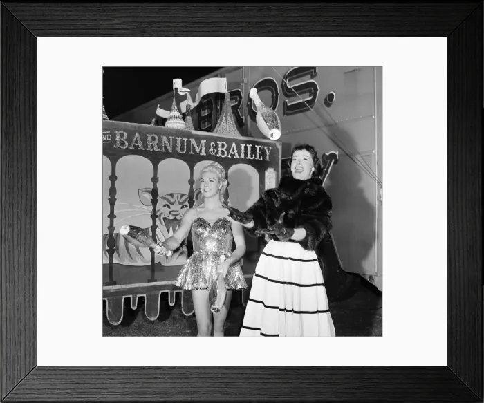 Framed Print : Ringling Bros. and Barnum & Bailey Circus Framed Print : Ringling Bros. and Barnum & Bailey Circus
