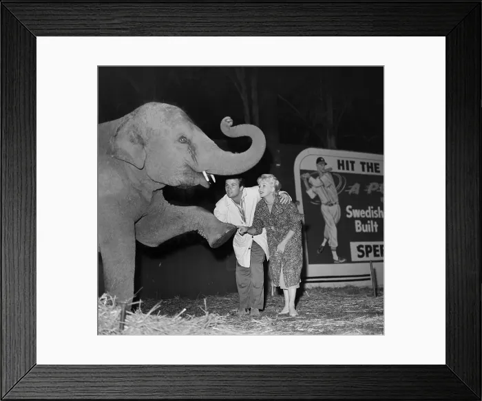 Framed Print : Ringling Bros. and Barnum & Bailey Circus Framed Print : Ringling Bros. and Barnum & Bailey Circus