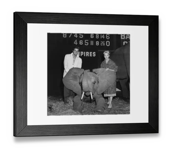 Framed Print : Ringling Bros. and Barnum & Bailey Circus Framed Print : Ringling Bros. and Barnum & Bailey Circus