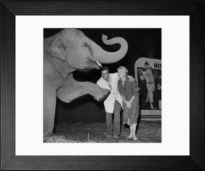 Framed Print : Ringling Bros. and Barnum & Bailey Circus Framed Print : Ringling Bros. and Barnum & Bailey Circus
