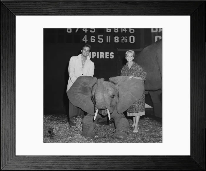 Framed Print : Ringling Bros. and Barnum & Bailey Circus Framed Print : Ringling Bros. and Barnum & Bailey Circus