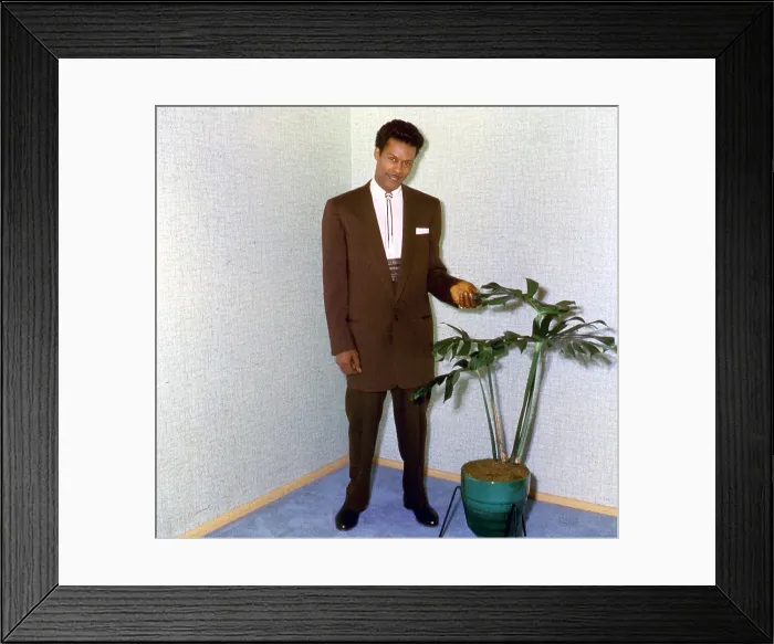 Framed Print : Chuck Berry At Chess's Home Framed Print : Chuck Berry At Chess's Home