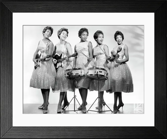 Framed Print : The Chantels Portrait With Instruments Framed Print : The Chantels Portrait With Instruments