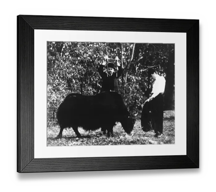 Framed Print : Leiber & Stoller In Yakety Yak Pen At Bronx Zoo Framed Print : Leiber & Stoller In Yakety Yak Pen At Bronx Zoo