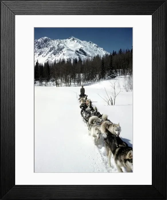 Framed Print : ASPEN COLORADO
