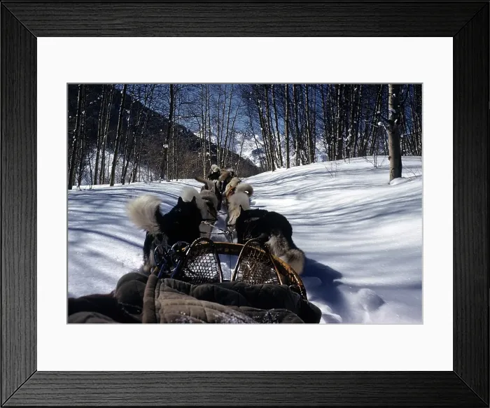 Framed Print : ASPEN COLORADO Framed Print : ASPEN COLORADO