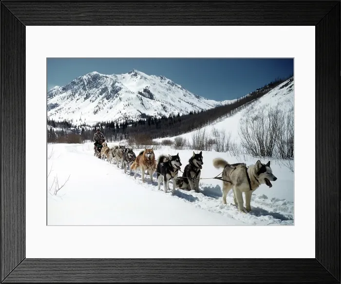 Framed Print : ASPEN COLORADO Framed Print : ASPEN COLORADO