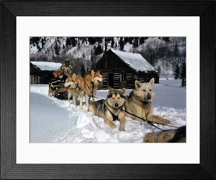 Framed Print : ASPEN COLORADO Framed Print : ASPEN COLORADO