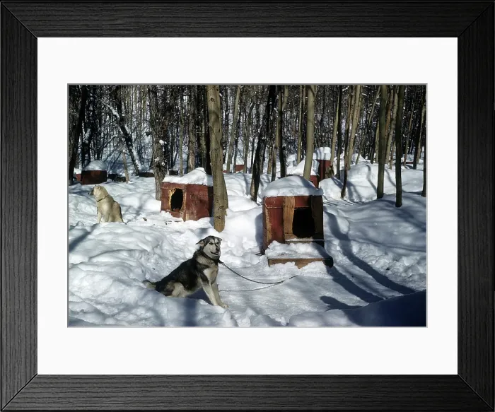 Framed Print : ASPEN COLORADO Framed Print : ASPEN COLORADO