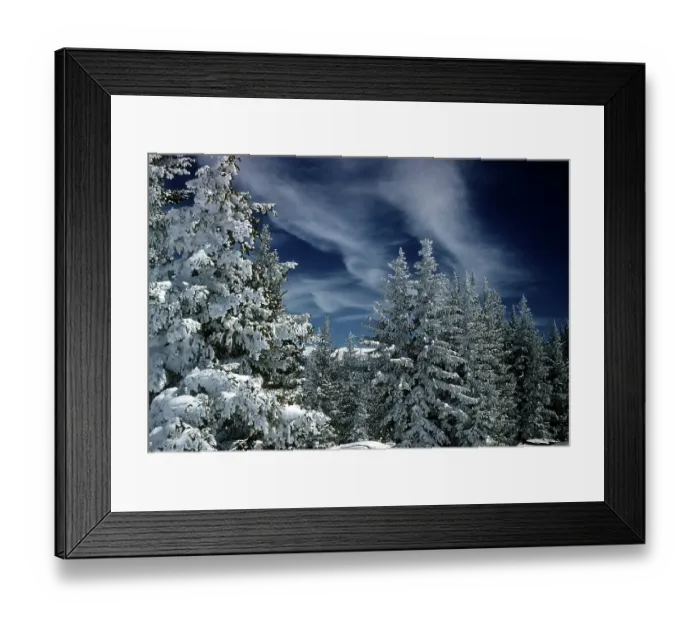Framed Print : ASPEN COLORADO Framed Print : ASPEN COLORADO