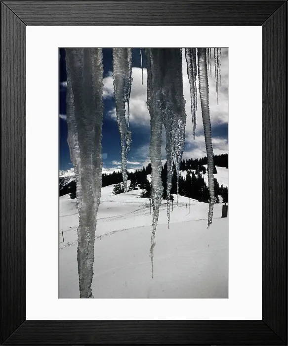 Framed Print : ASPEN COLORADO Framed Print : ASPEN COLORADO