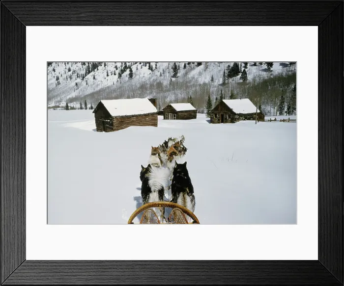 Framed Print : Aspen Colorado Framed Print : Aspen Colorado