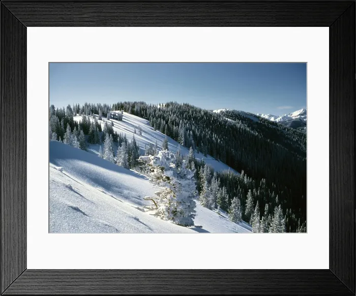 Framed Print : Aspen Colorado Framed Print : Aspen Colorado