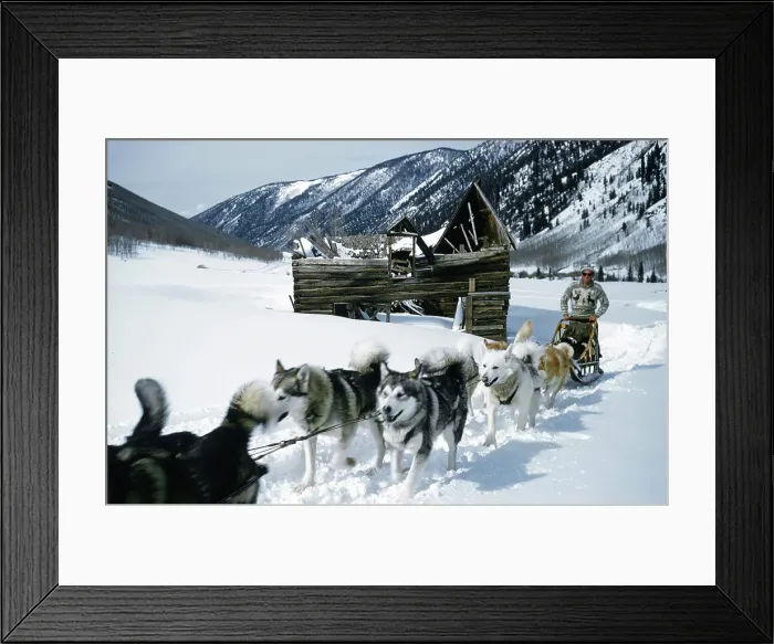 Framed Print : Aspen Colorado Framed Print : Aspen Colorado