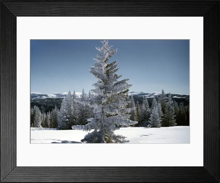 Framed Print : Aspen Colorado Framed Print : Aspen Colorado