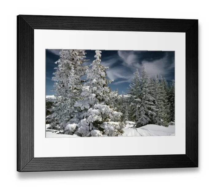 Framed Print : Aspen Colorado Framed Print : Aspen Colorado