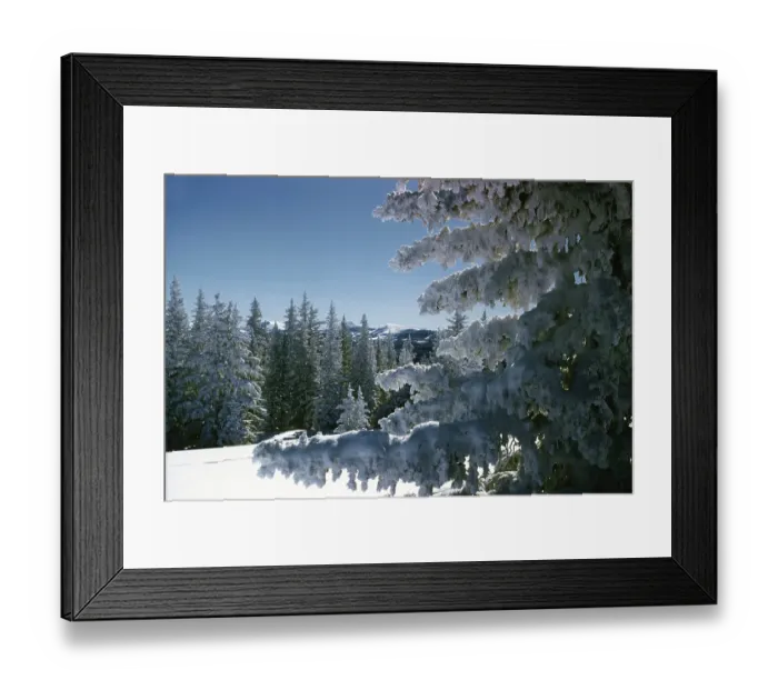 Framed Print : Aspen Colorado Framed Print : Aspen Colorado