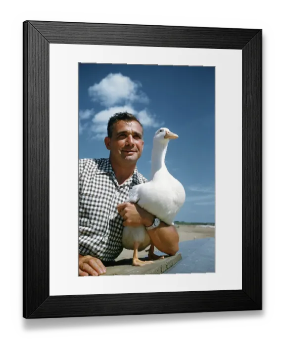 Framed Print : Duck Farm. UNITED STATES - JULY 1958: A view as a farmer poses with a White Framed Print : Duck Farm. UNITED STATES - JULY 1958: A view as a farmer poses with a White