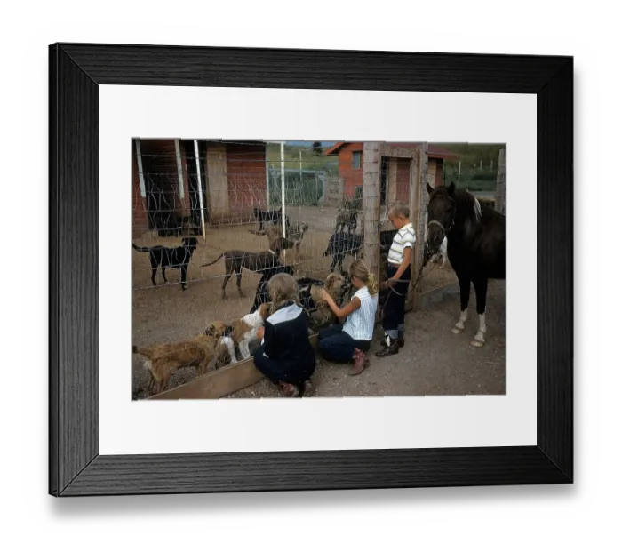 Framed Print : DOG POUND IN SOUTH DAKOTA Framed Print : DOG POUND IN SOUTH DAKOTA