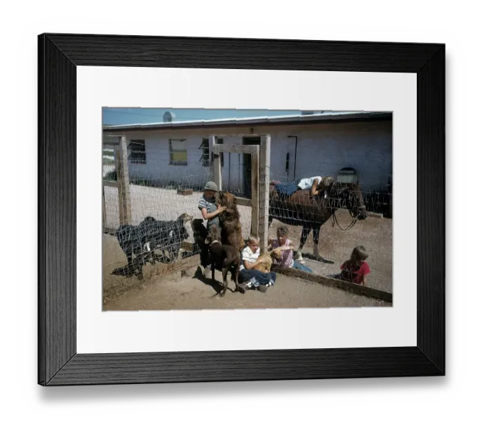 Framed Print : DOG POUND IN SOUTH DAKOTA Framed Print : DOG POUND IN SOUTH DAKOTA