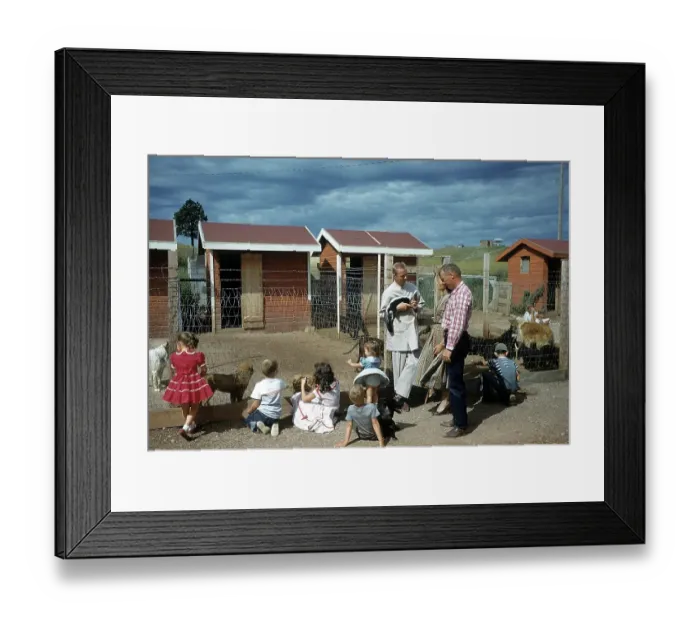 Framed Print : DOG POUND IN SOUTH DAKOTA Framed Print : DOG POUND IN SOUTH DAKOTA