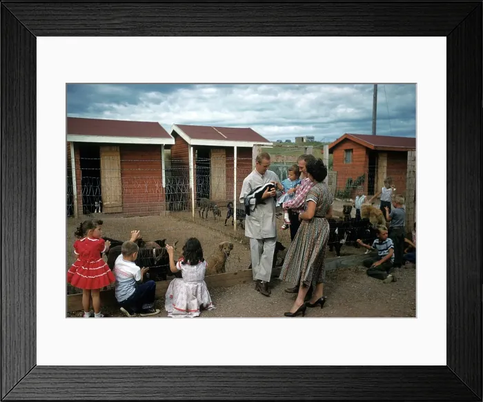 Framed Print : DOG POUND IN SOUTH DAKOTA Framed Print : DOG POUND IN SOUTH DAKOTA