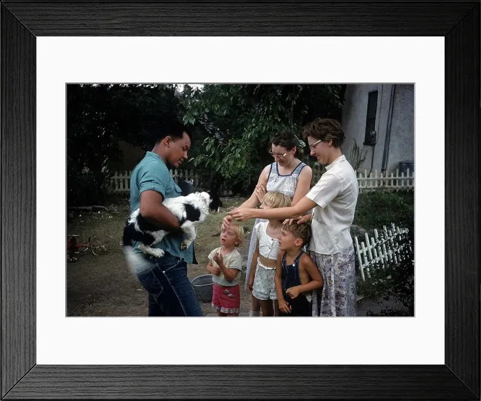 Framed Print : DOG POUND IN SOUTH DAKOTA Framed Print : DOG POUND IN SOUTH DAKOTA