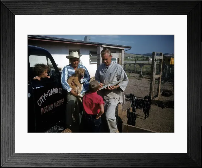 Framed Print : DOG POUND IN SOUTH DAKOTA Framed Print : DOG POUND IN SOUTH DAKOTA