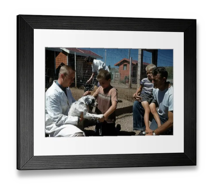 Framed Print : DOG POUND IN SOUTH DAKOTA Framed Print : DOG POUND IN SOUTH DAKOTA