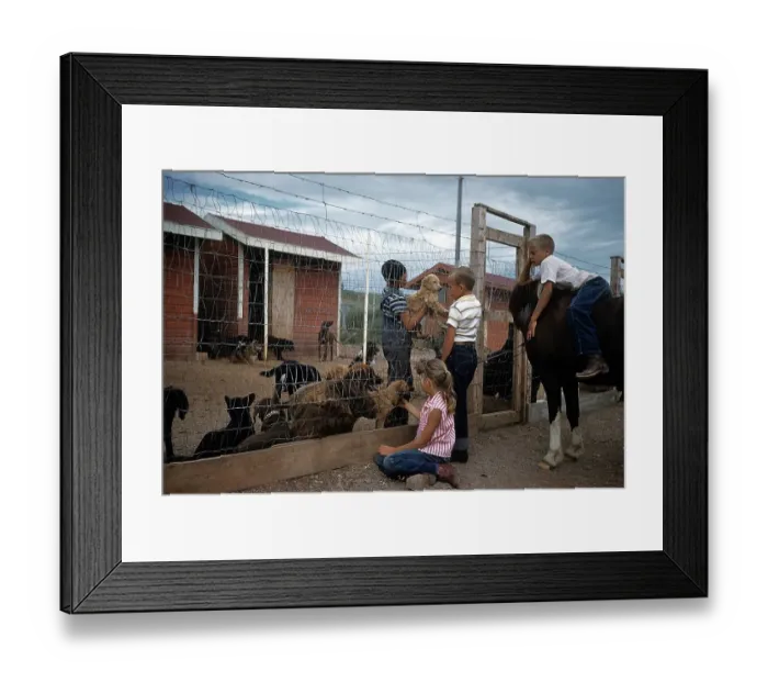 Framed Print : DOG POUND IN SOUTH DAKOTA Framed Print : DOG POUND IN SOUTH DAKOTA