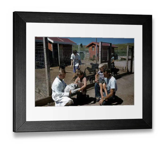 Framed Print : DOG POUND IN SOUTH DAKOTA Framed Print : DOG POUND IN SOUTH DAKOTA