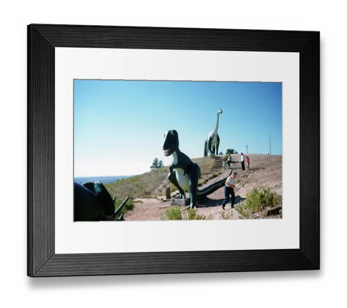 Framed Print : Dinosaur Park Framed Print : Dinosaur Park