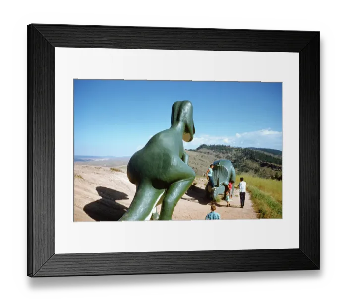Framed Print : Dinosaur Park Framed Print : Dinosaur Park