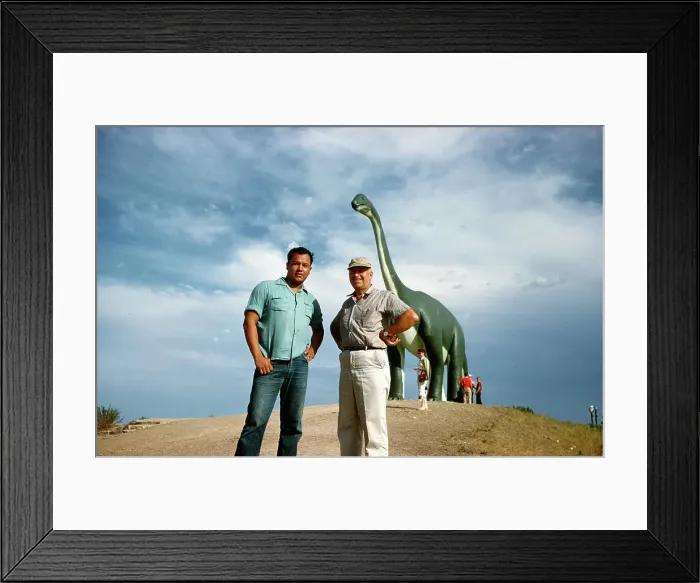 Framed Print : Dinosaur Park Framed Print : Dinosaur Park