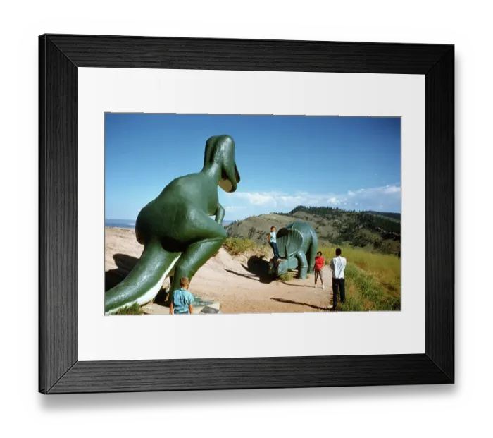 Framed Print : Dinosaur Park