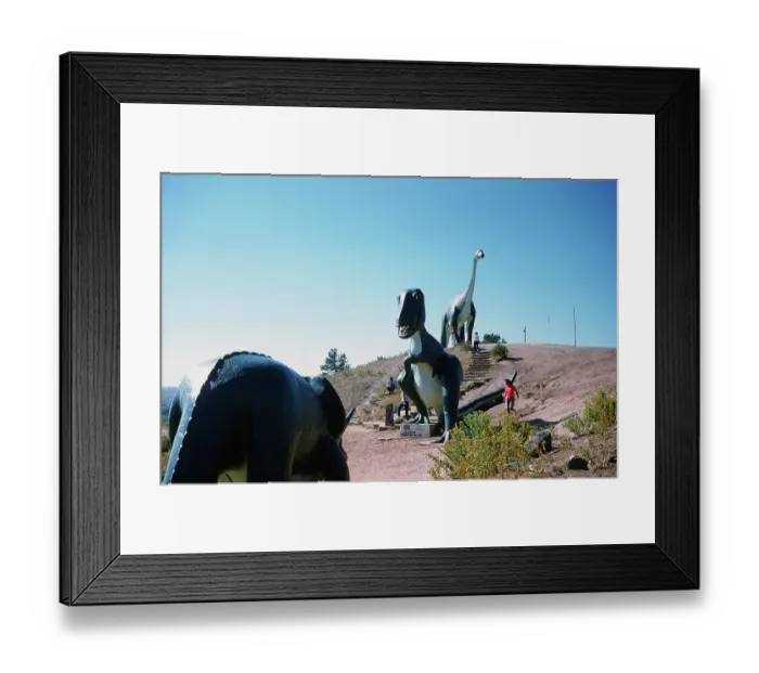 Framed Print : Dinosaur Park