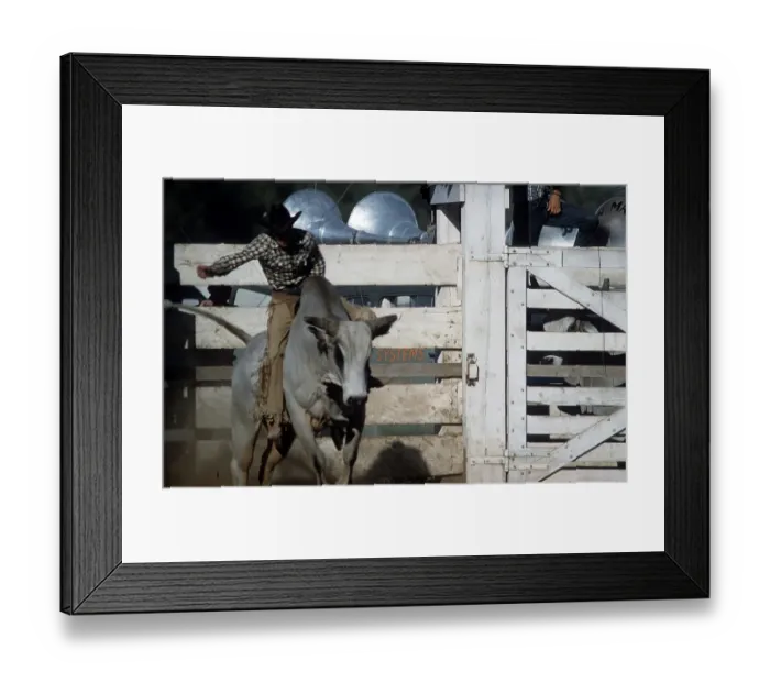 Framed Print : RAPID CITY RODEO Framed Print : RAPID CITY RODEO