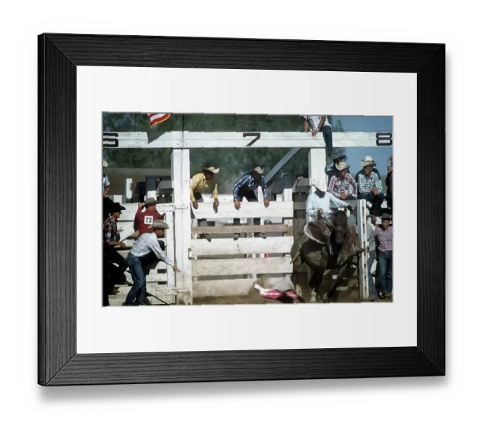 Framed Print : RAPID CITY RODEO Framed Print : RAPID CITY RODEO
