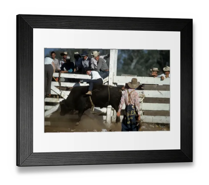 Framed Print : RAPID CITY RODEO Framed Print : RAPID CITY RODEO