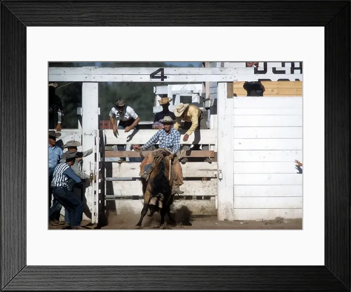 Framed Print : RAPID CITY RODEO Framed Print : RAPID CITY RODEO