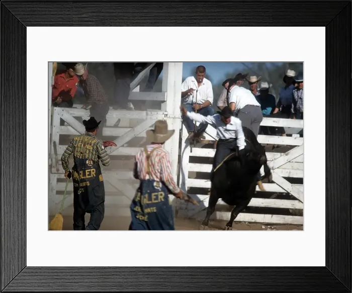 Framed Print : RAPID CITY RODEO Framed Print : RAPID CITY RODEO