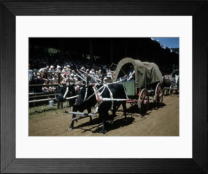 Framed Print : RAPID CITY RODEO Framed Print : RAPID CITY RODEO