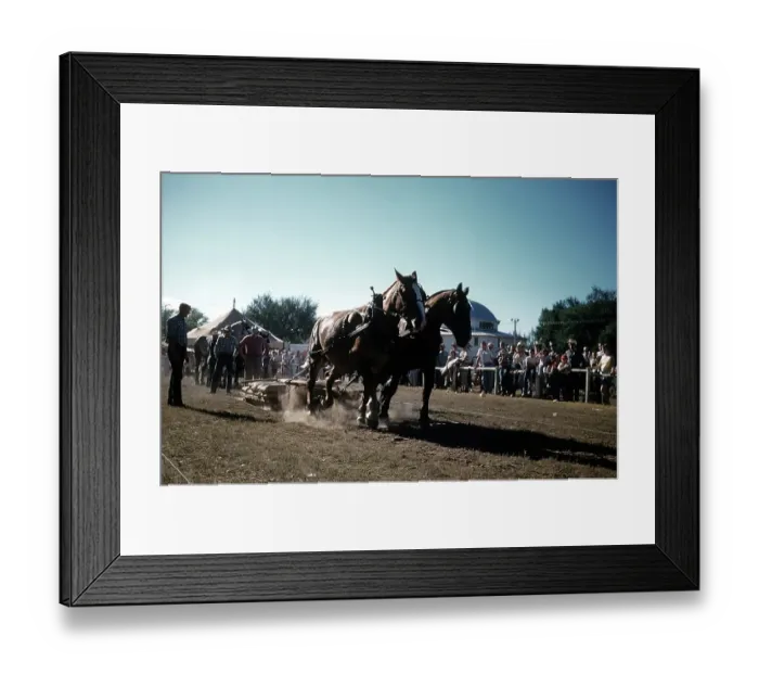 Framed Print : RAPID CITY RODEO Framed Print : RAPID CITY RODEO